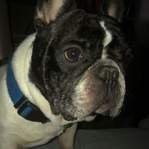 Meet your Posher, Amber